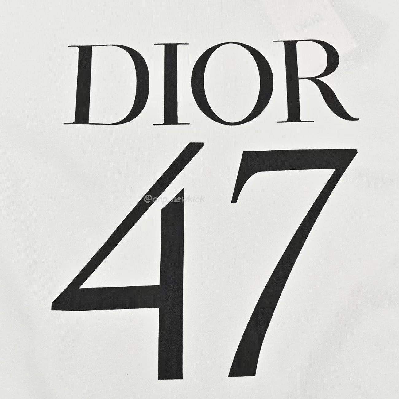 Dior Wide Body Bamboo Pure Cotton Plain Weave Fabric T Shirt White Navy (9) - newkick.app